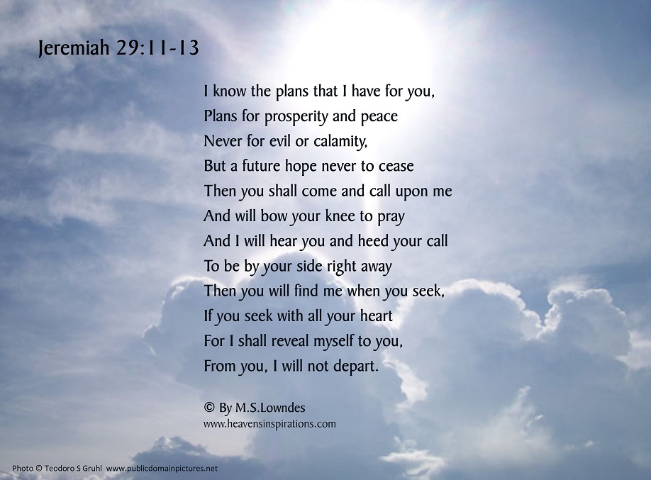 Jeremiah 29-11