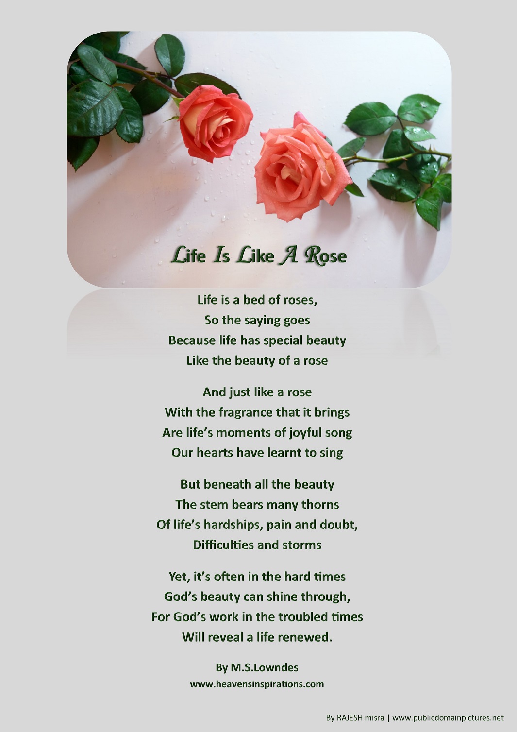 Rose Poem